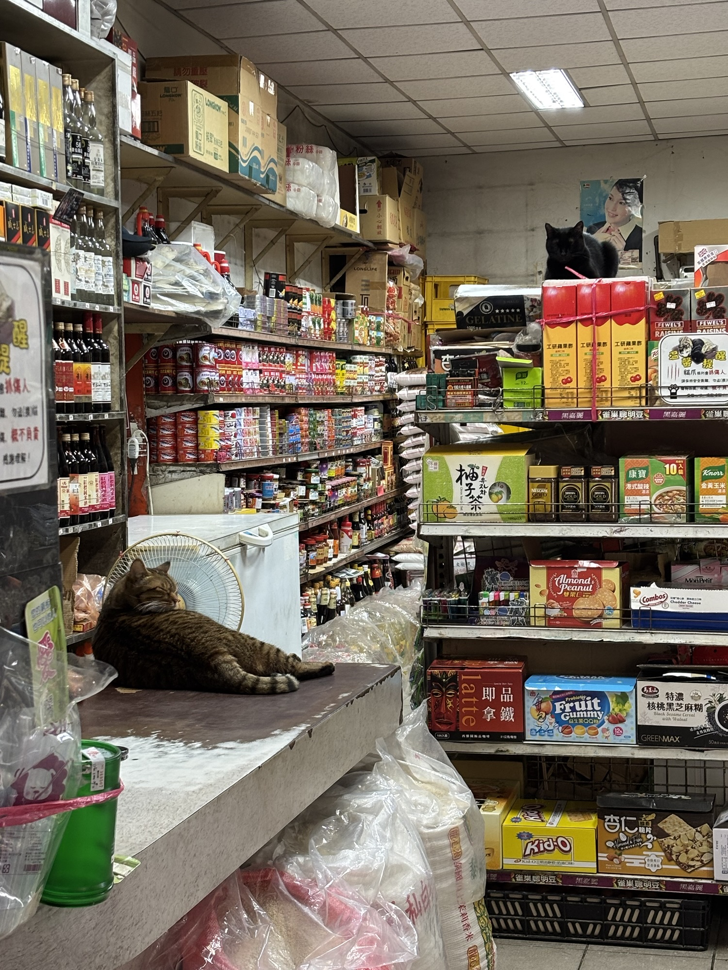 我們