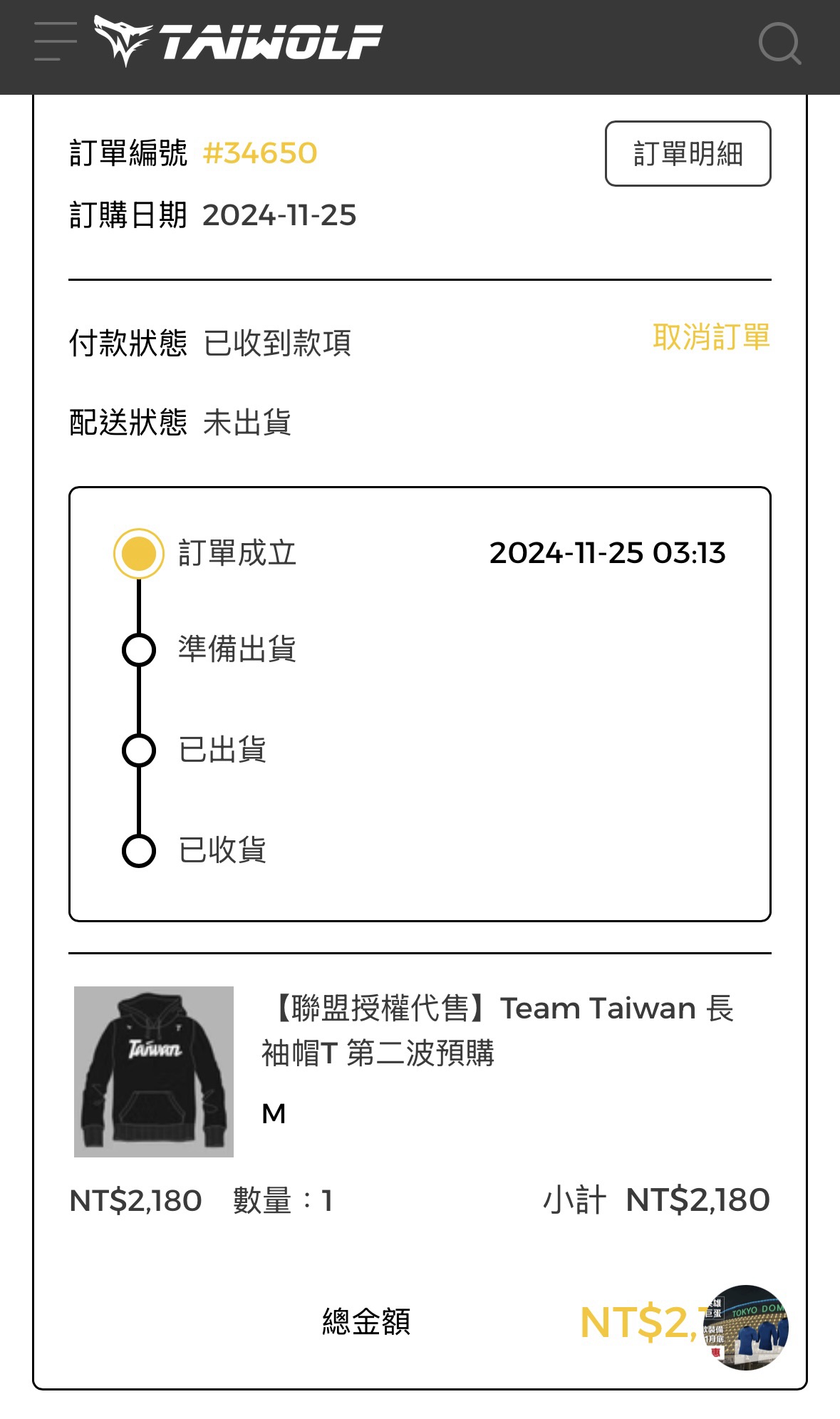 Team Taiwan 紀念帽 T