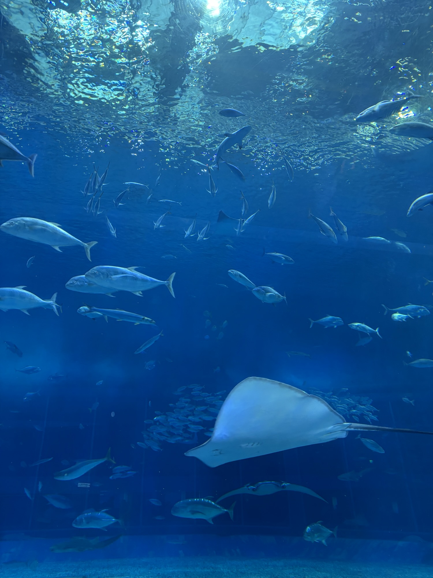 中年的朋友是…