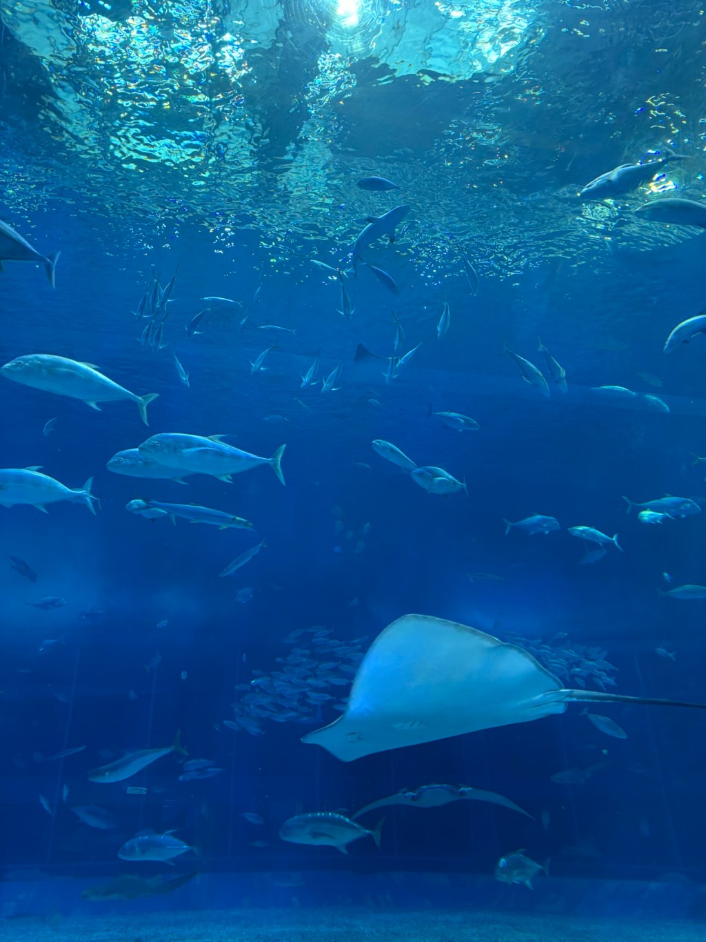 中年的朋友是…