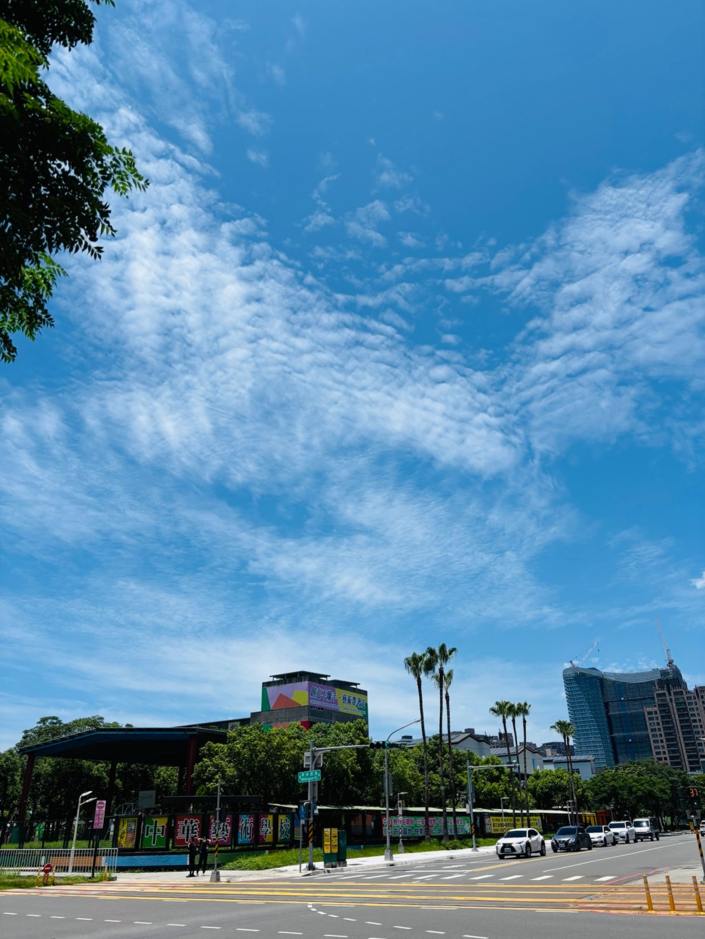 母病｜親密之海