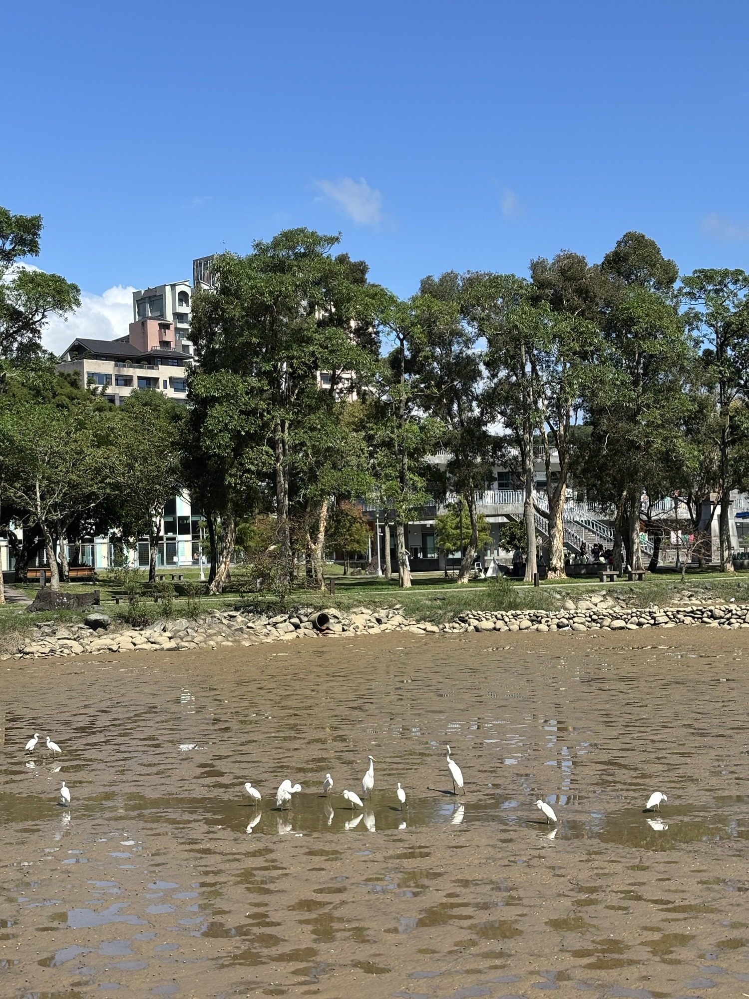 世代｜妳和其餘的一切｜又是廁所｜脆的應對