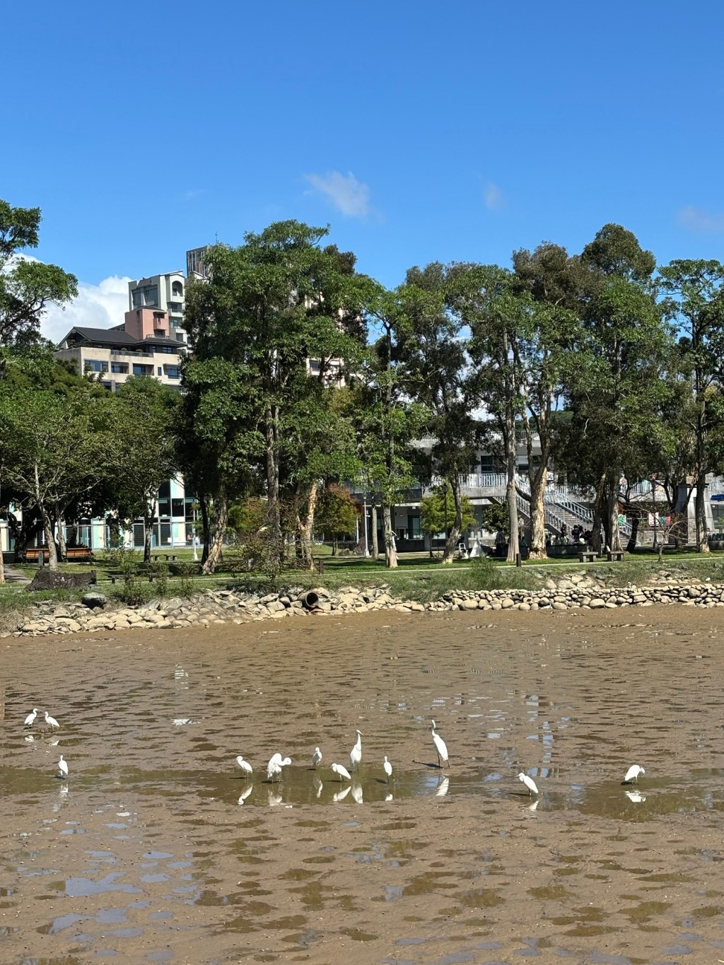 世代｜妳和其餘的一切｜又是廁所｜脆的應對