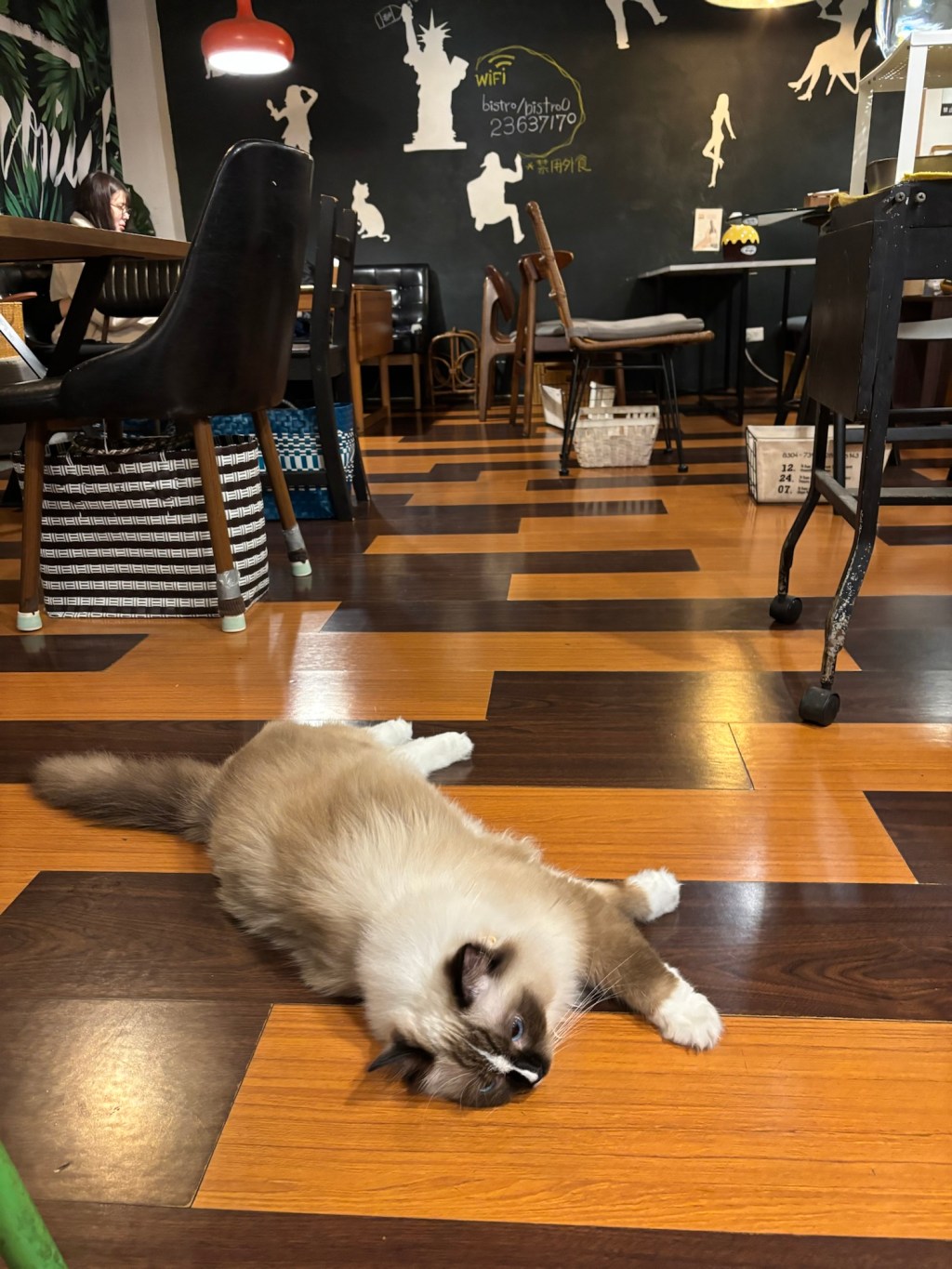 後同遊生活 & 民防